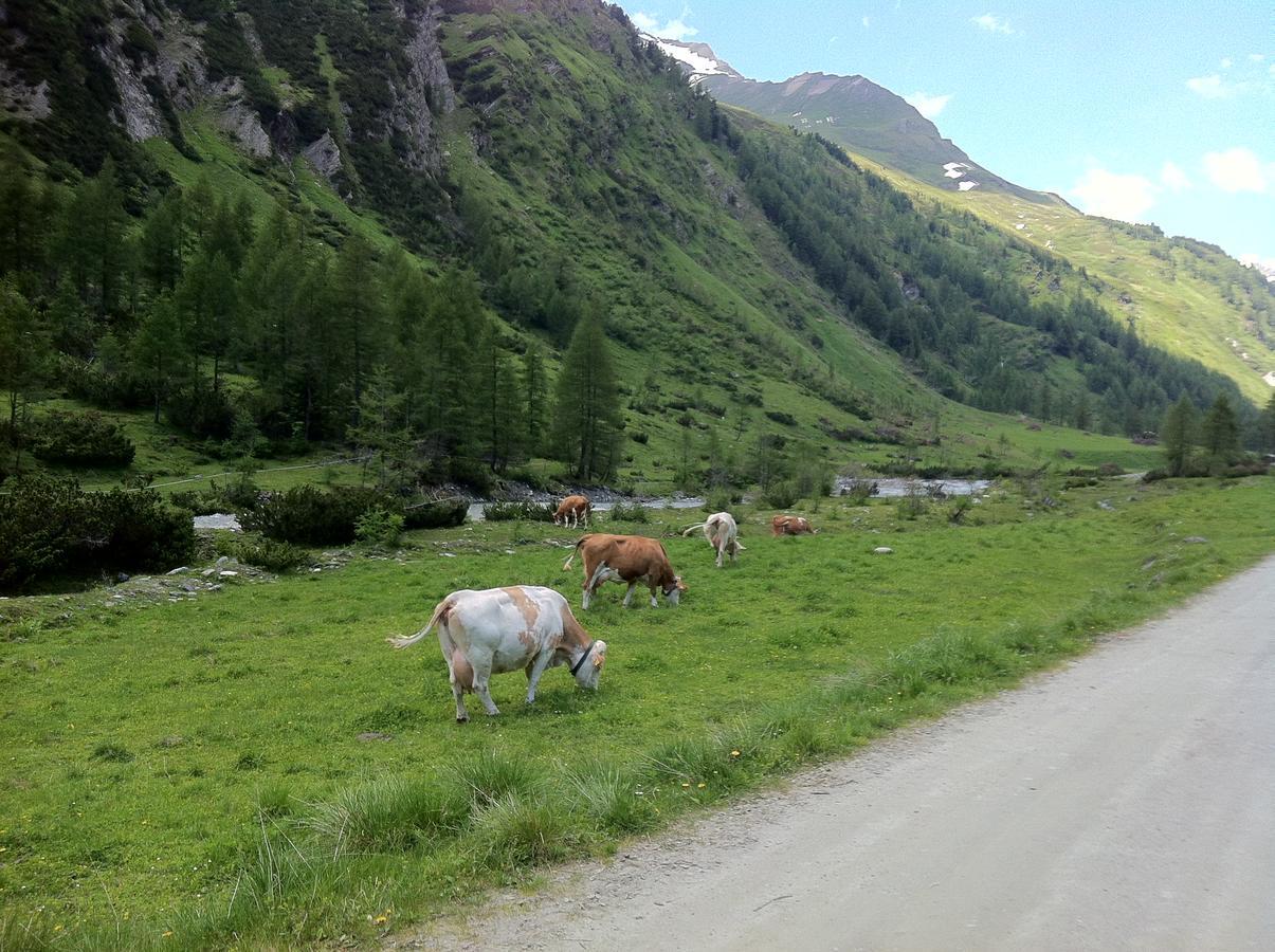 Scol Sporthotel Grossglockner Kals am Grossglockner Ngoại thất bức ảnh